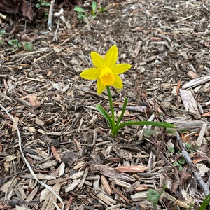 Fundraising Page: Steve Burkholder